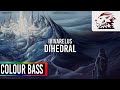 Ivivarelus - Dihedral [Colour Bass]