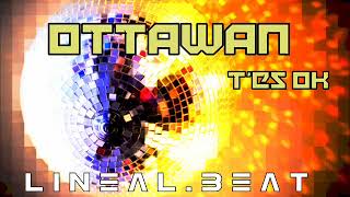 Ottawan  T'es ok LineaL Beat remix 2016 réédit(StépHane Ball) Resimi
