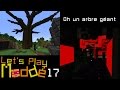 LP Moddé d'Adsl Houba 17 : Un arbre géant ?