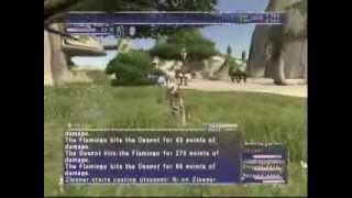 Beastmaster Despot Duo