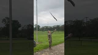 Air Force Honor Guard Demonstration at CAP News