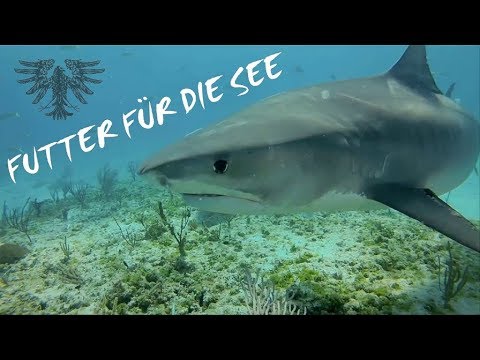 Schwarzer Engel - Futter Für Die See