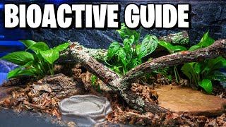 How to Make a Bioactive Enclosure! Beginner Guide!