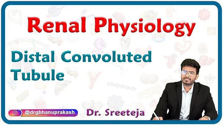 Distal Convoluted Tubule: Renal physiology USMLE Step 1