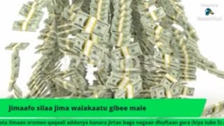 jimafoo sila jima walakatu gibe male jiraafo silaa jira...