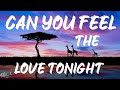 Elton John - Can You Feel the Love Tonight (Lyrics)