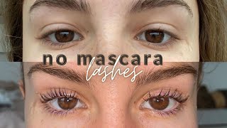 How I perm my lashes at home!  Tips & tricks