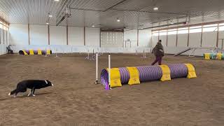 Trip - Elite Chances Bonus