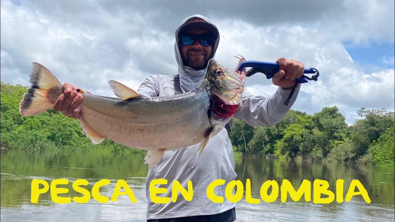 Pesca en Colombia