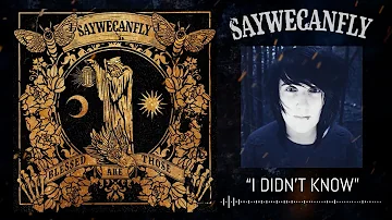 SayWeCanFly - "I Didn't Know" (NEW SONG)