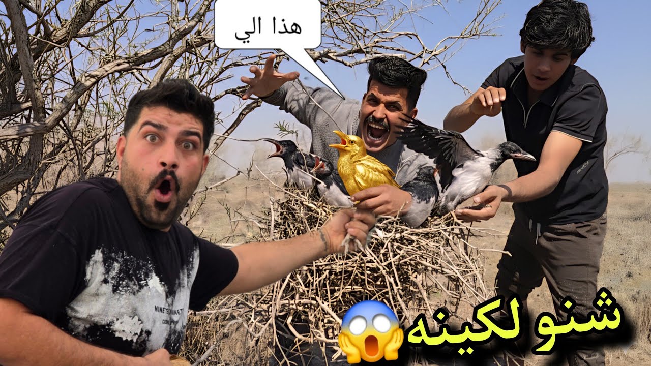 أخطر مغامرة في البرية… والنهاية غير متوقعة! لحظة اكتشاف لا تتكرر 😨