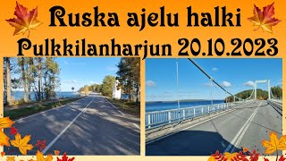 Ruska ajelu Päijänne näkymin Pulkkilanharjulla