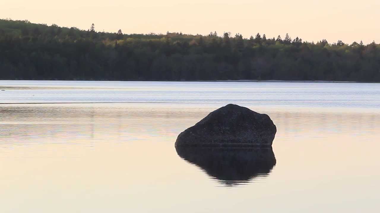 acadian forest region Tusket River Headwaters Nature Reserve