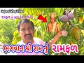 Bhagvan shri ram nu ramfal     gujarati vlog  village life