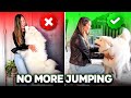 This simple thing stops your dog from jumping on guests works like magic