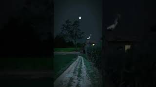 Assalatu khairum minan naum\