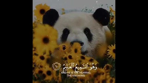 تلاوة عطره لما تيسر من القران الكريم 🎧🌌🌛