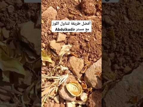 الطريقة الصحيحة لأكل اللوز مع الشيف اللبناني 