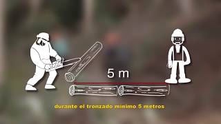 Issga_Forestal_subtítulos