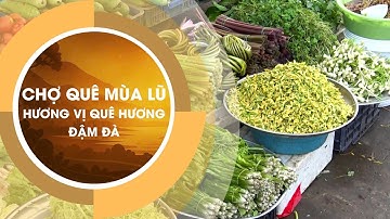 Chợ Quê Mùa Nước Nổi Tây Ninh – Thiên Đường Đặc Sản: Nhộn Nhịp Cá Đồng, Rau Xanh