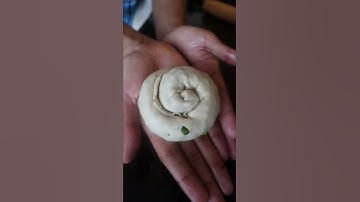 Thumbnail of What if making scallion pancakes were a vibe (Cong you bing)