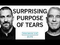 Why We Cry &amp; the Evolutionary Purpose of Tears | Dr. Noam Sobel &amp; Dr. Andrew Huberman