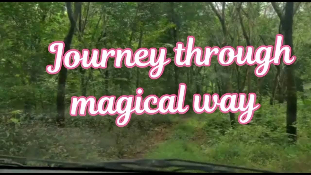 Relax with Nature 16 Moving through Greenery 'WONDER LAND WITH MAGICAL VISUALS"