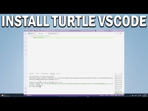 How To Install Turtle in VS Code