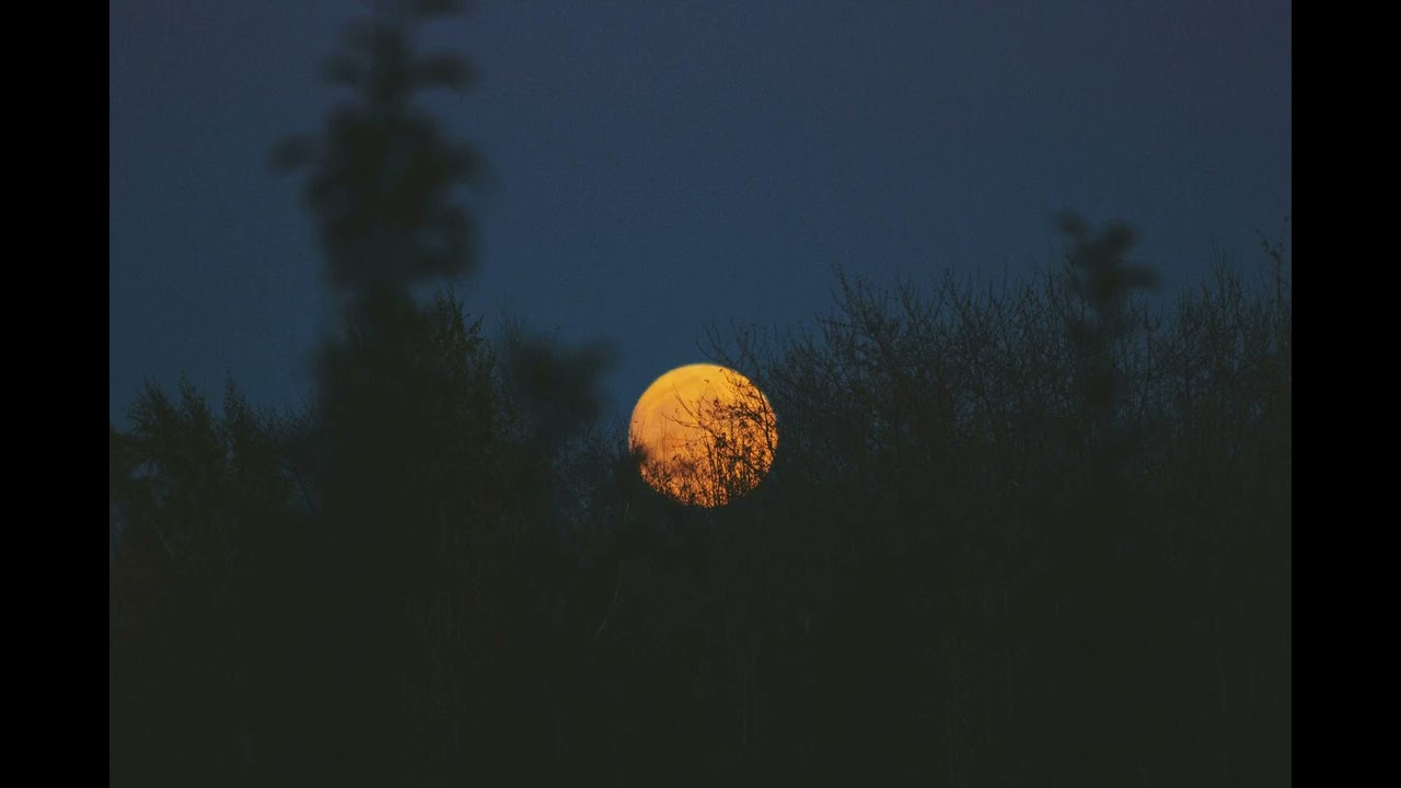 Edwin Rosen x MC Windhund x Wurms Type Beat 