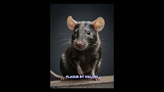 10 Fun History Facts That Sound Fake But Are True