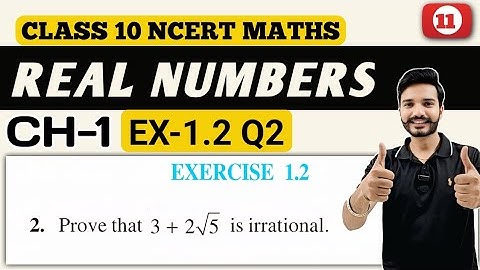 Class 10 Maths Exercise 1.2 Q2 || New NCERT || Ch 1 Real Numbers || CBSE