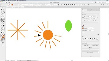 Intro to Illustrator: Rotate Tool