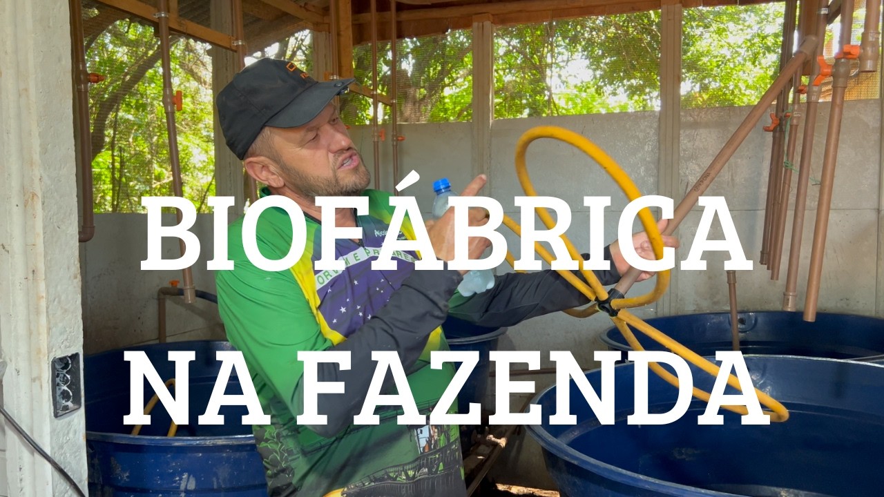 A BIOFABRICA do PRODUTOR DE SOJA: Como Fazer FUNGICIDA E INSETICIDA BIOLÓGICO de Verdade na Fazenda