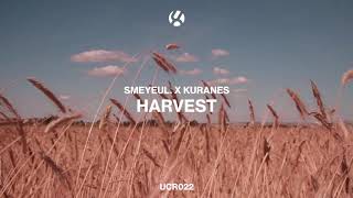 Smeyeul. x Kuranes - Harvest
