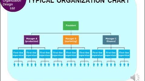 Introduction to Business Chapter 8: Structuring Organizations