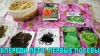 👍👩🏻‍🌾🌱ХОЛОДНАЯ ВЕСНА 2023 ГОДА. 17 АПРЕЛЯ. НАЧАЛ ЦВЕСТИ ОДУВАНЧИК - СЕЕМ ХОЛОДОСТОЙКИЕ КУЛЬТУРЫ