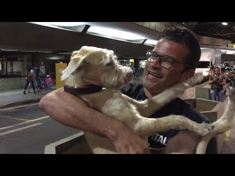 Dog is Crazy Happy to See Owner || ViralHog