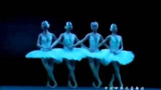 Bnclagodos Cisnes