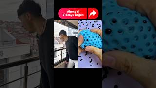 Sizce Lina Mı Döver Yoksa Panda Mı ?