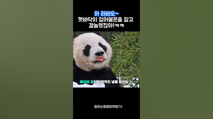 러바오 진짜 너무 치명적이야!ㅋㅋ