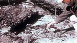 Nuclear Weapons.mpg