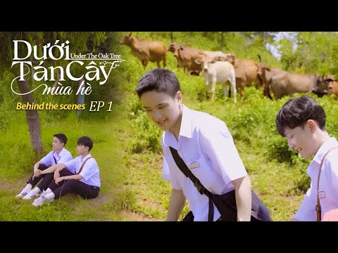 BTS Dưới Tán Cây Mùa Hè l Tập 1l Under The Oak Tree #mcv #undertheoaktree #duoitancaymuahe #mcvpride