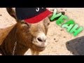 Usher - Yeah (Goat Remix)