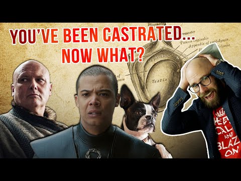 If Human Men Experience Medical Problems After Losing Their Testicles, Then Why Don't Our Pets?