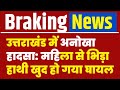 उत्तराखंड में अनोखा हादसा: महिला से भिड़ा हाथी, खुद हो गया घायल