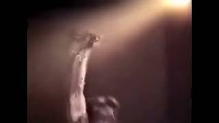 Nirvana - Big Cheese (Live at OK Hotel, Seattle, WA, 1991)