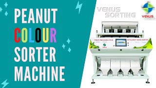 PEANUT COLOUR SORTER MACHINE | VENUS RGB GLOBAL PLUS |