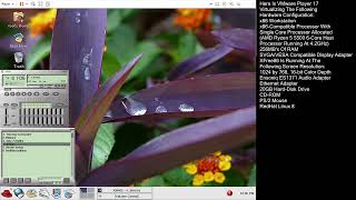 Diverse of XMMS (VMware Workstation 17, RedHat Linux 8)