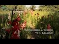 Documental: Las Raíces de una Comunidad.