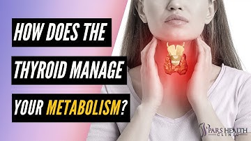 How does the thyroid manage your metabolism?